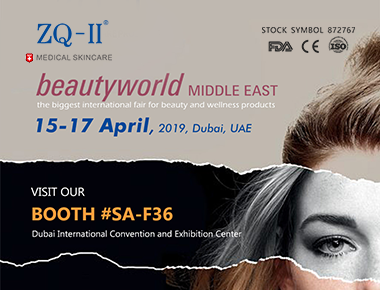 Dubai-Ausstellung 4.15-17